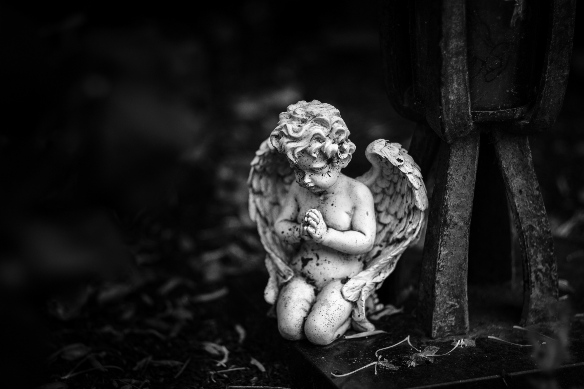 28385001728_4563f6378f_o